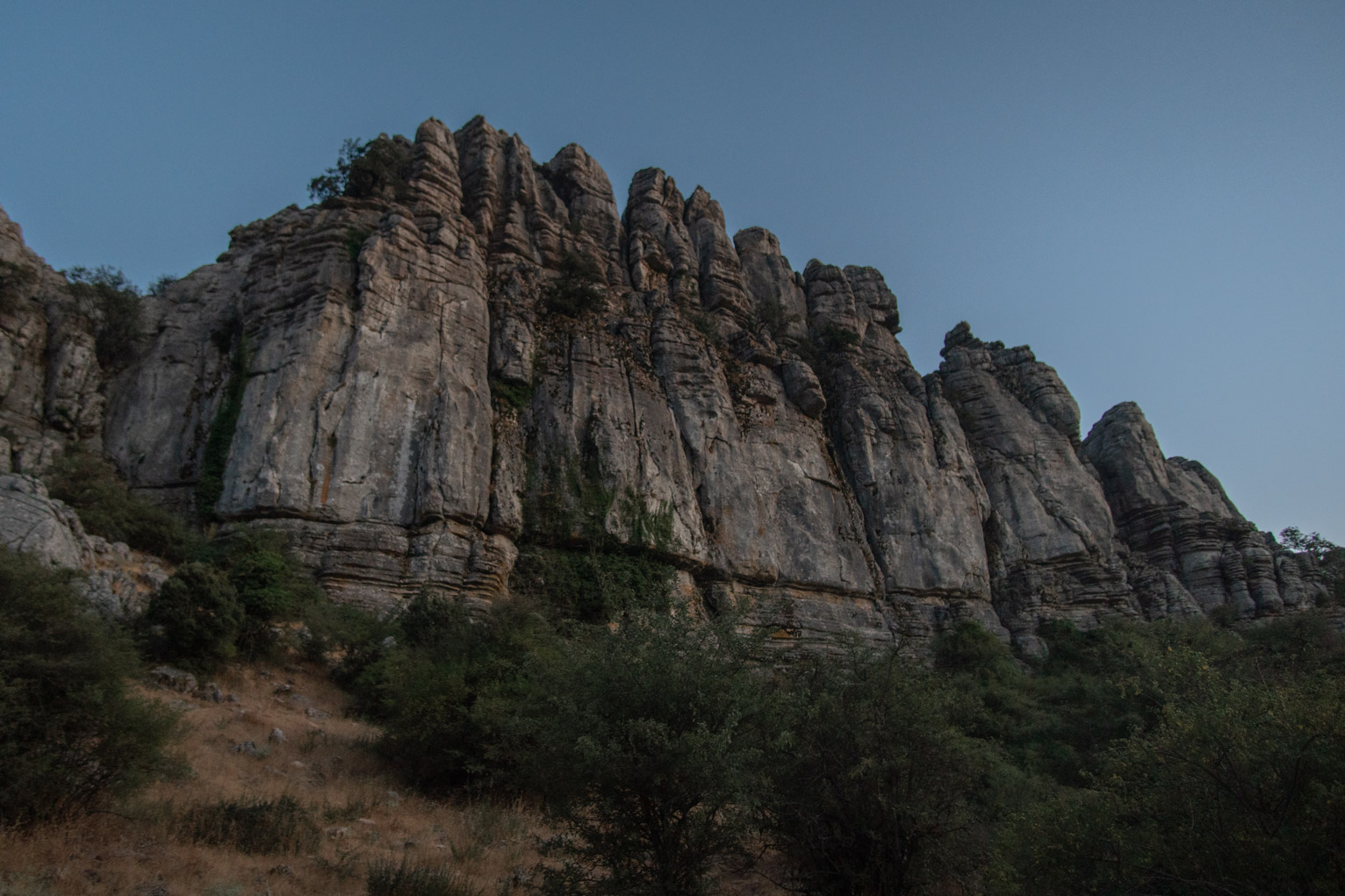 The strange  rocks of El Torcal rise high out of the bushes